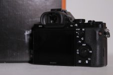 _MG_1784.jpg