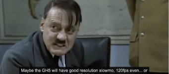 Hitler_wants_GH4.jpg