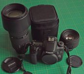 canon 70d nikon 80-200 sigma 30 2.jpg