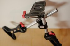 whergt_150209_4836.jpg