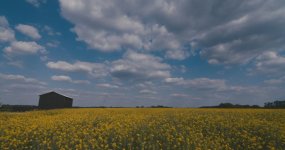 canole barn screenshot.jpg