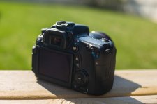 IMG_2196.jpg