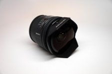 SonyFish3.jpg SonyFish3.jpg