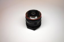 SonyFish4.jpg SonyFish4.jpg