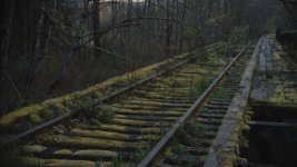 nature_2_computarZoom.jpg