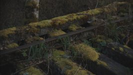 nature_3_computarZoom.jpg