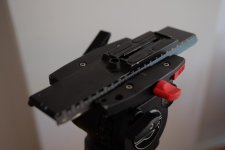 HUNT6513.jpg