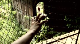 hand.jpg