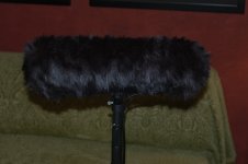 DSC_1944.JPG