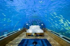 waterbed.jpg