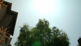 4-nofilter.jpg