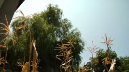 2-filter.jpg