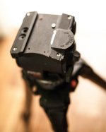 _MG_5503.jpg _MG_5503.jpg