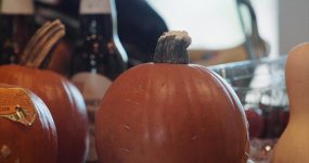 gourds.jpg gourds.jpg