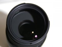 sig70-2.jpg sig70-2.jpg