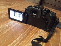 gh46.jpg