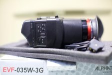 IMG_5302.jpg