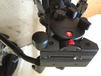 IMG_2886.jpg