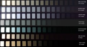 TomAntosDRtest_.jpg