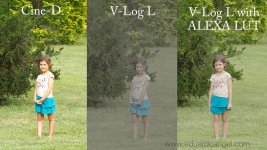 Panasonic-GH4-V-Log-L-Profile-Comparison-Tests-Eduardo-Angel-Visuals__010_850.jpg Panasonic-GH4-V-Log-L-Profile-Comparison-Tests-Eduardo-Angel-Visuals__010_850.jpg