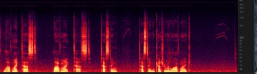 pilot tone q-1.jpg pilot tone q-1.jpg
