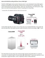 Canon C200 Cinema RAW Light Texas Media Systems.JPG Canon C200 Cinema RAW Light Texas Media Systems.JPG