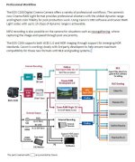 Canon C200 Workflow Texas Media Systems.JPG Canon C200 Workflow Texas Media Systems.JPG