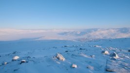 Arctic 1.jpg