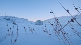 Arctic 4.jpg