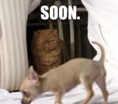 soon_(1).jpg