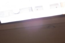 fluolight.jpg fluolight.jpg