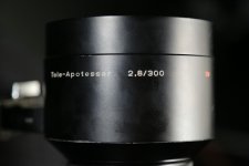 CK3A5305.jpg