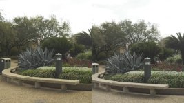 Image1.jpg Image1.jpg