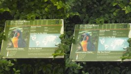 Image2.jpg Image2.jpg