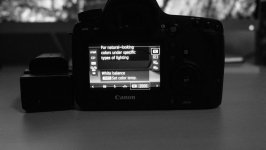 camera-7.jpg