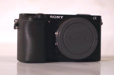 DSC00004.JPG