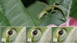 resolution_lizard_1200x675.jpg resolution_lizard_1200x675.jpg