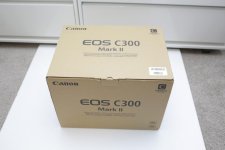 C300-09.jpg