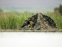 Floating-Hides---C59O6751.jpg