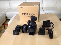 c300-1.jpg
