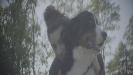 bolex 2.jpg bolex 2.jpg