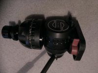 WP_20170208_002.jpg
