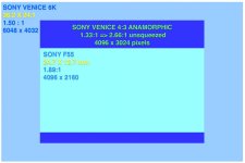 sony-venice-formats2-f55-vs-Venice-6K-and-anamorphic-thefilmbook.jpg sony-venice-formats2-f55-vs-Venice-6K-and-anamorphic-thefilmbook.jpg