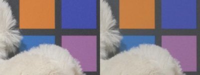 sharpness-down-conversion-test.jpg sharpness-down-conversion-test.jpg