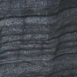 gh5 moire03.jpg gh5 moire03.jpg