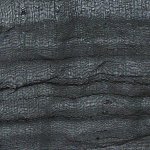 gh5 moire12.jpg gh5 moire12.jpg