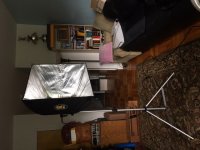 IMG_6115.JPG IMG_6115.JPG