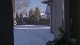 from window_1.1.1.jpg