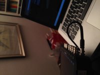 IMG_0234.jpg IMG_0234.jpg