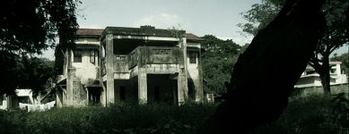dvx4.jpg